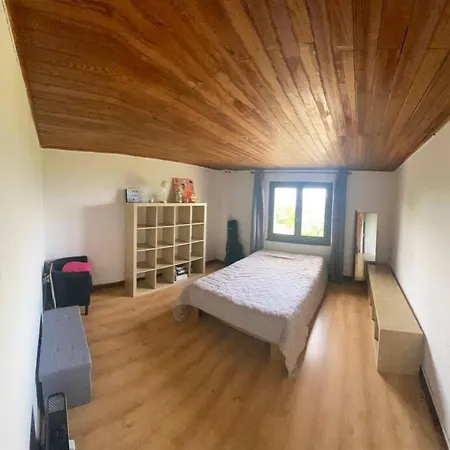 Luxe Confort Vue Sur Le Lac Leman Villa