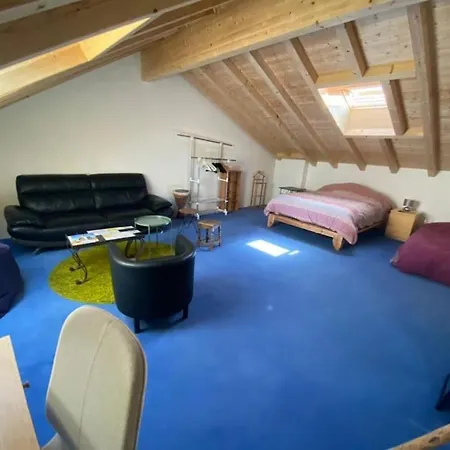 Luxe Confort Vue Sur Le Lac Leman Archamps