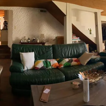 Luxe Confort Vue Sur Le Lac Leman Villa